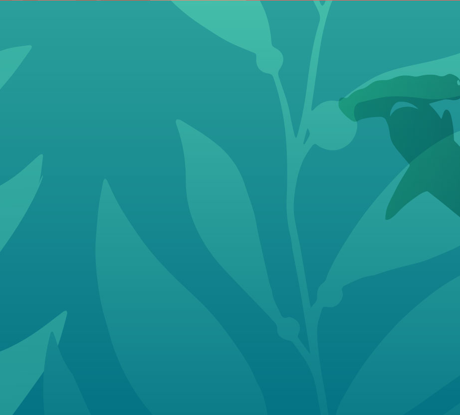 Green shark background