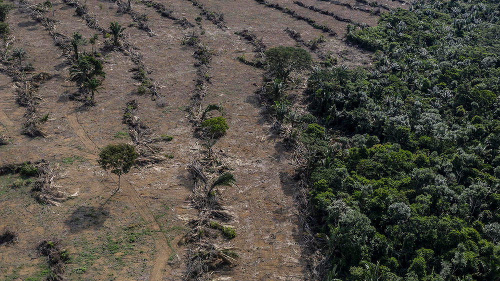 Deforestation next to a soybean plantation along the BR-364 highway near the Jamari River, Rondônia. 