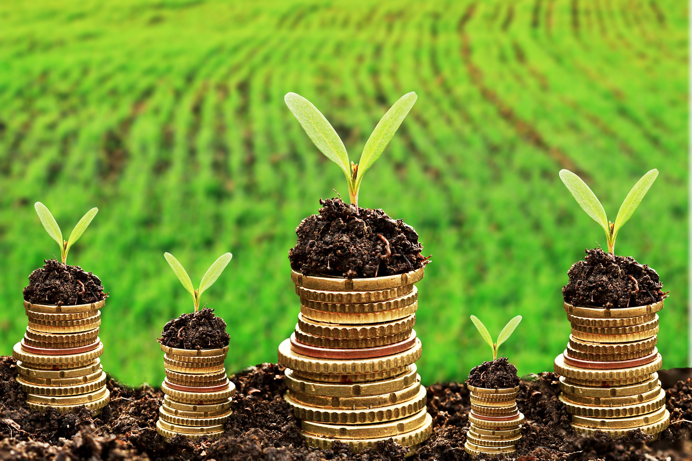 Currency and money in soil