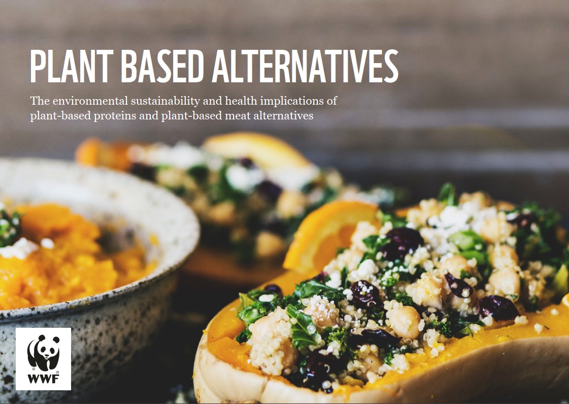 Plant based alternatives summary report cover