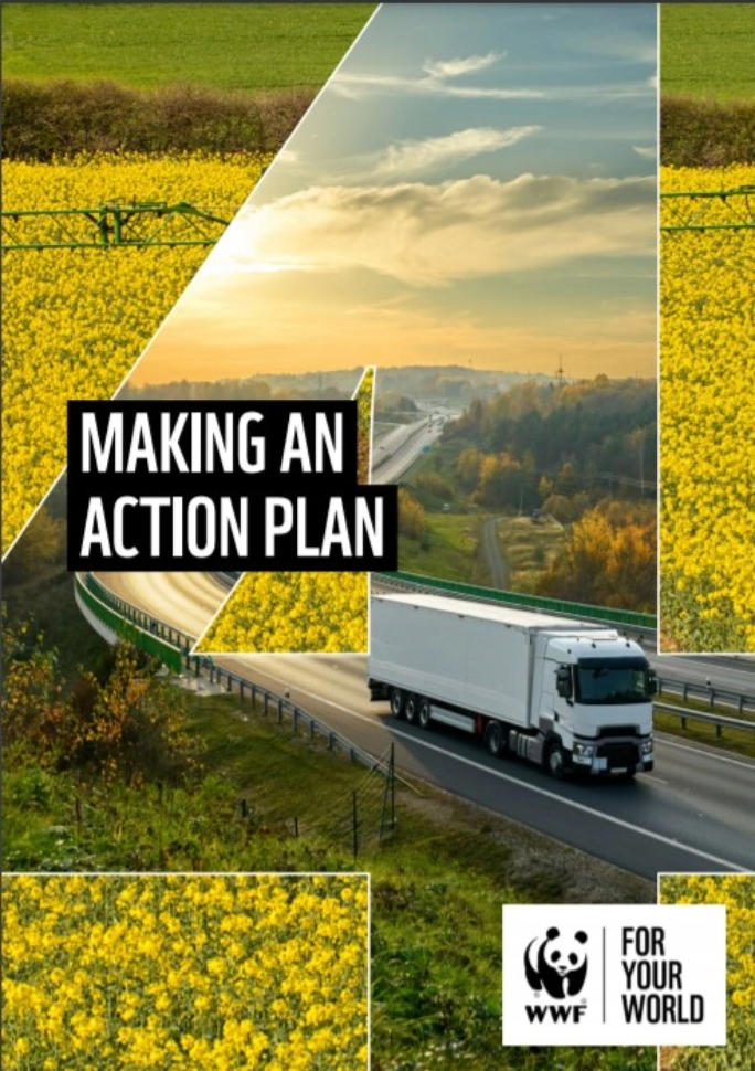 Making an action plan