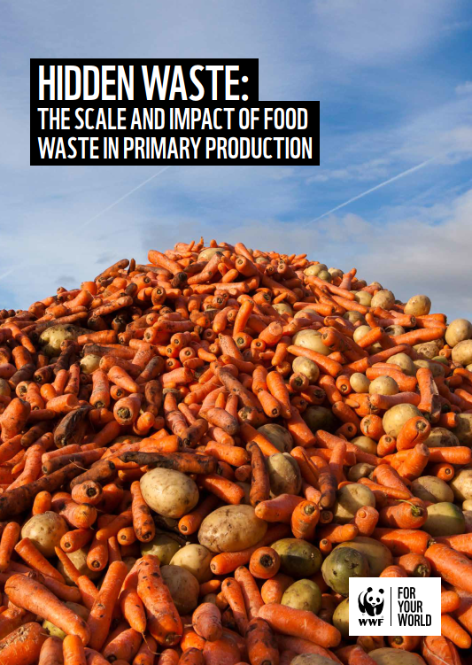 Food waste report front cover