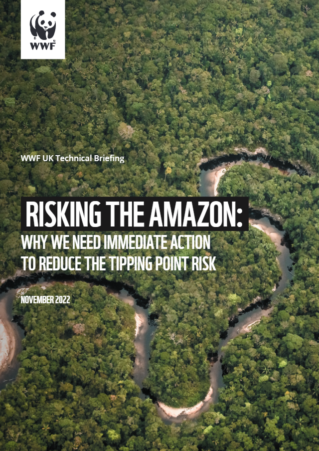 Risking the Amazon Report cover