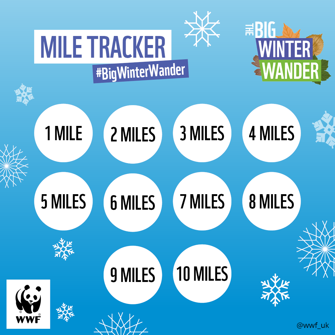 BWW_10 MILE TRACKER WWF