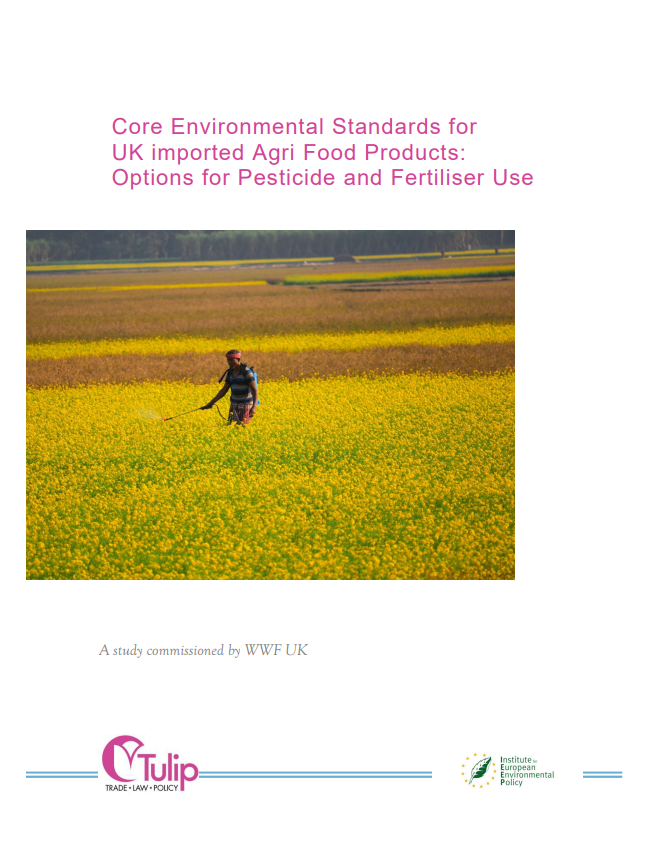 Front page of a report with white background and pink text. There is an image of a man walking through a field of yellow flowers