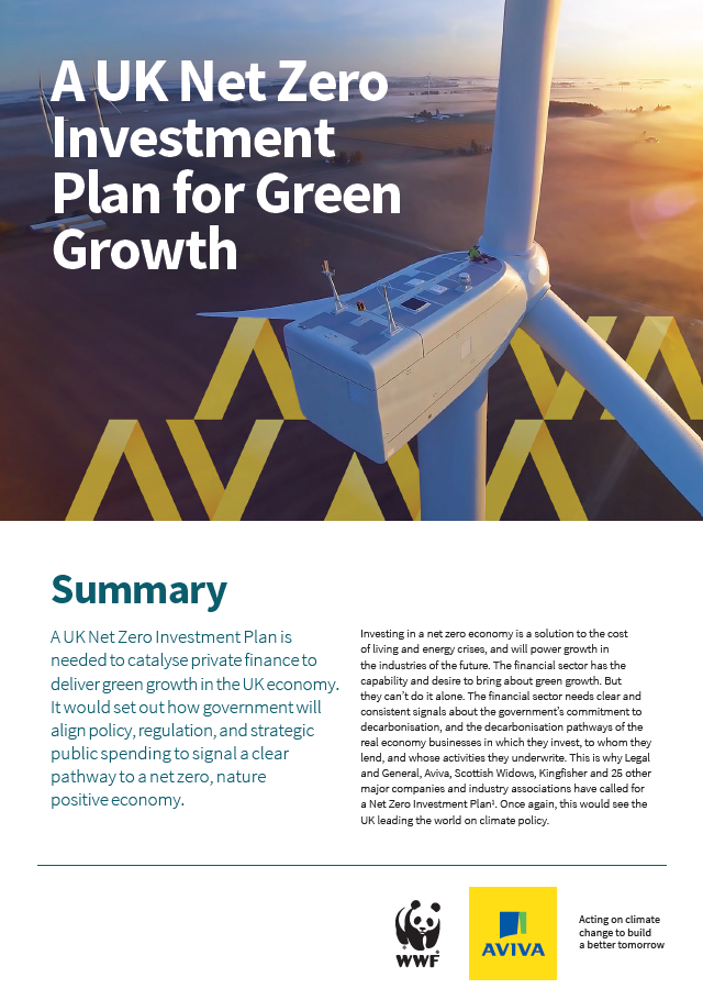 Cover image for 'A UK Net Zero Investment Plan for Green Growth' report