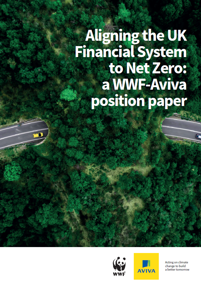 Aligning the Financial System to Net-Zero Image of road and trees - cover image for 'Aligning the Financial System to Net-Zero' report