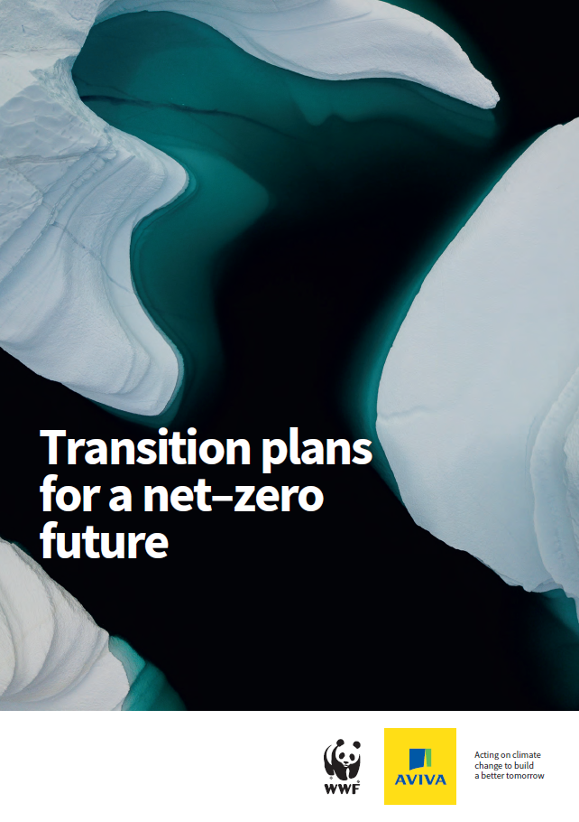 Cover image of icecaps for 'transition plans for a net-zero future' report
