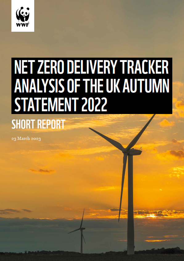 Net Zero Delivery Tracker - Analysis of the UK Autumn Statement 2022 - Short Report