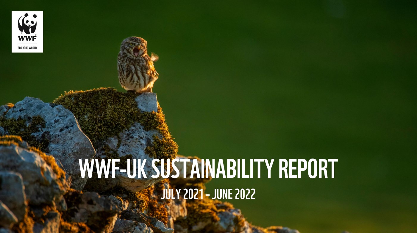 WWF-UK Sustainability Report thumbnail image of an owl sat on a mossy rock