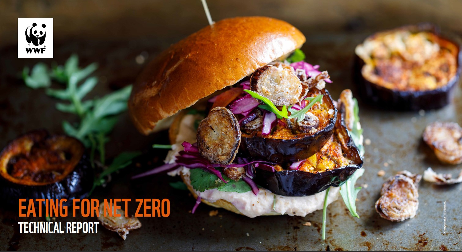 Eating for net zero technical report thumbnail. Image of a plant-based burger