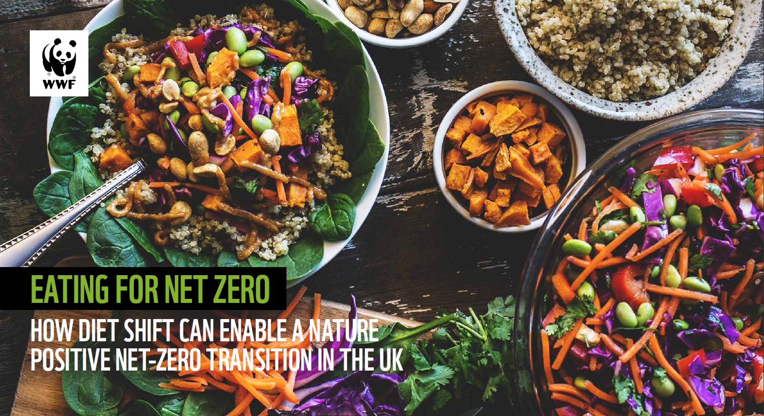 Eating for net zero thumbnail. Image of multiple, colourful, plant-based dishes