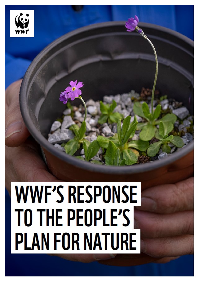 WWF's response to the People's Plan For Nature thumbnail image. The image shows a person holding a plant pot containing small purple flowers.