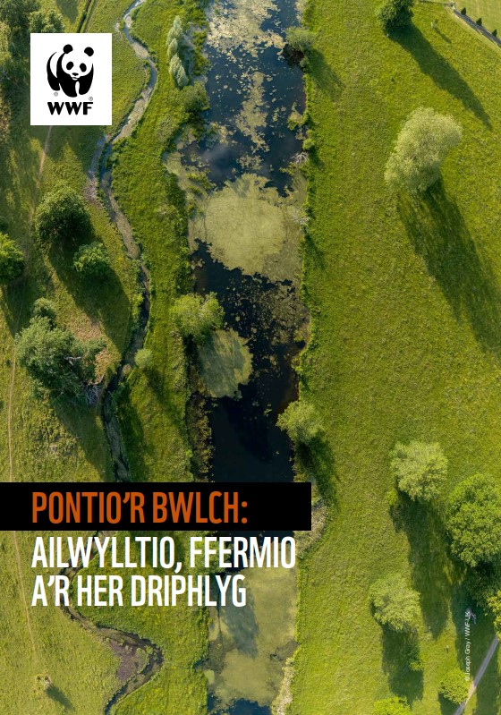  Pontio’r Bwlch: Ailwylltio, Ffermio A’r Her Driphlyg