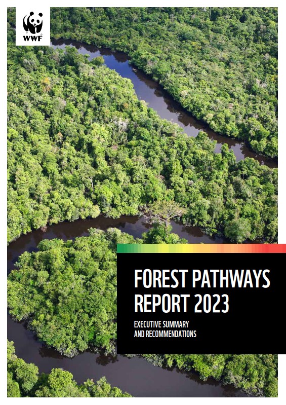 The cover image for the Forest Pathways Report 2023 - Executive Summary, showing an aerial view image of a river running through a forest