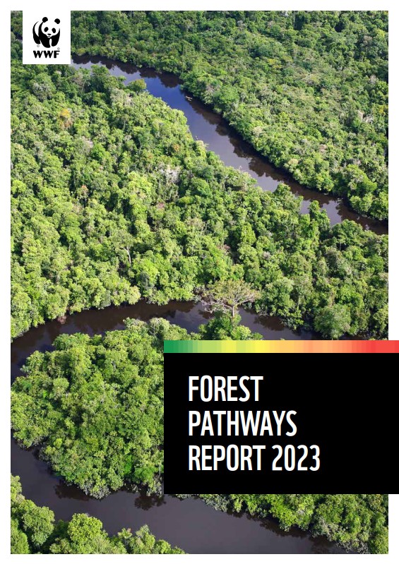 The cover image for the Forest Pathways Report 2023, showing an aerial view image of a river running through a forest