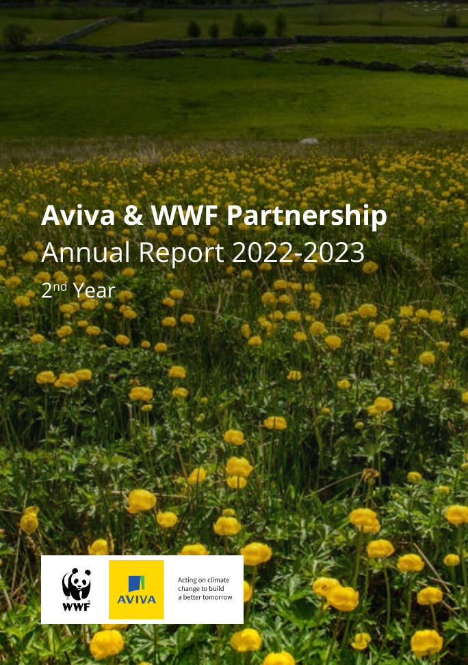 Aviva Annual Report Cover.jpg