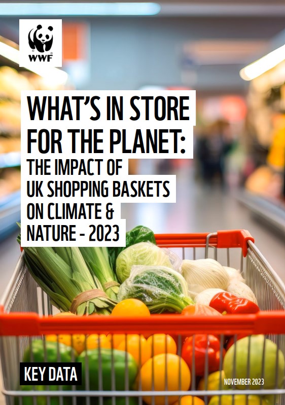 Cover image for the 'What's in store for the planet: The impact of UK shopping baskets on climate and nature 2023' summary report featuring a close up image of a shopping basket with vegetables inside