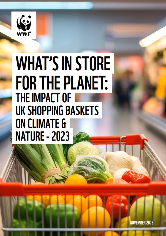 Cover image for the 'What's in store for the planet: The impact of UK shopping baskets on climate and nature 2023' report featuring a close up image of a shopping basket with vegetables inside