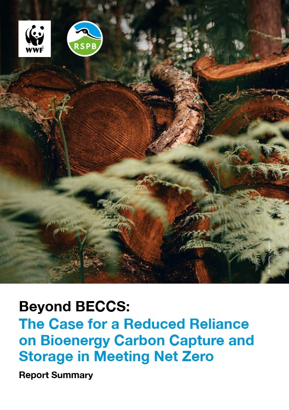 Beyond BECCS Summary report cover showing close up of cut trees stacked in a forest obscured by ferns