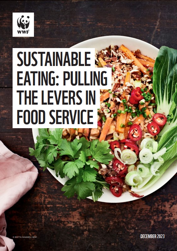 Cover of the report Sustainable Eating: Pulling the Levers in Food Service showing A healthy sustainable meal on a plate