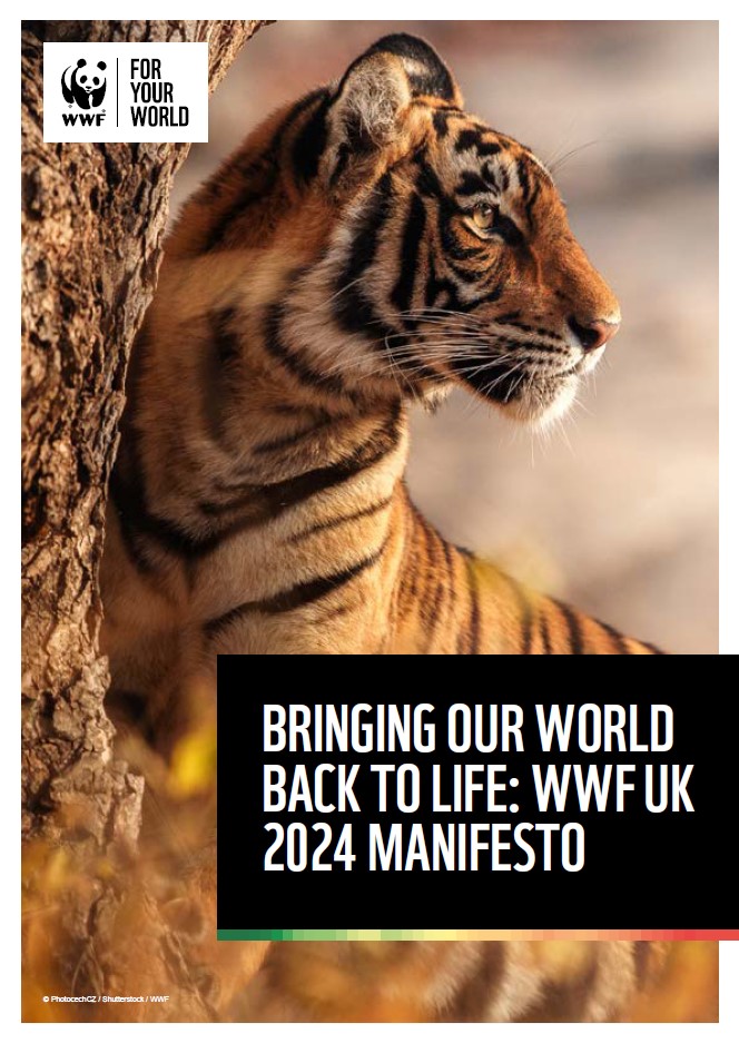 WWF-UK Manifesto 2024 cover image showing a tiger looking off into the distance with the text: 'Bringing our world back to life: WWF UK 2024 Manifesto'