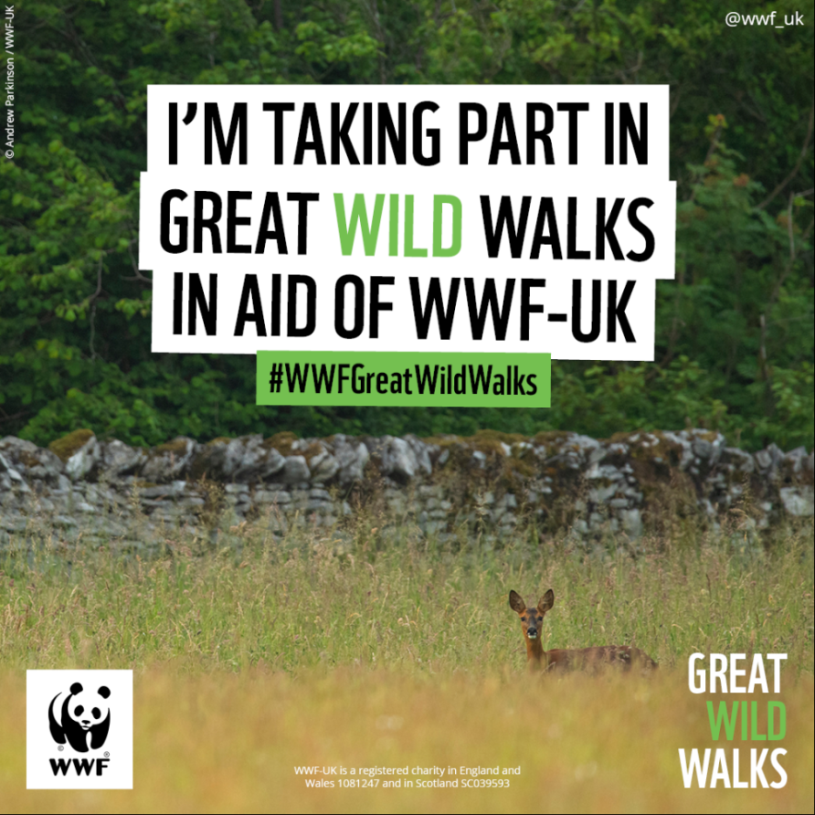 Great Wild Walks Taking Part