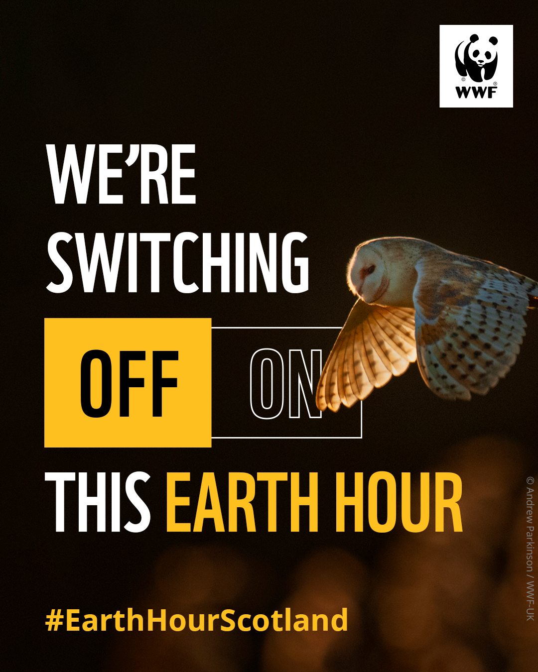 A barn owl in flight during dusk. Overlapping text reads, 'We're switching off, #EarthHourScotland'