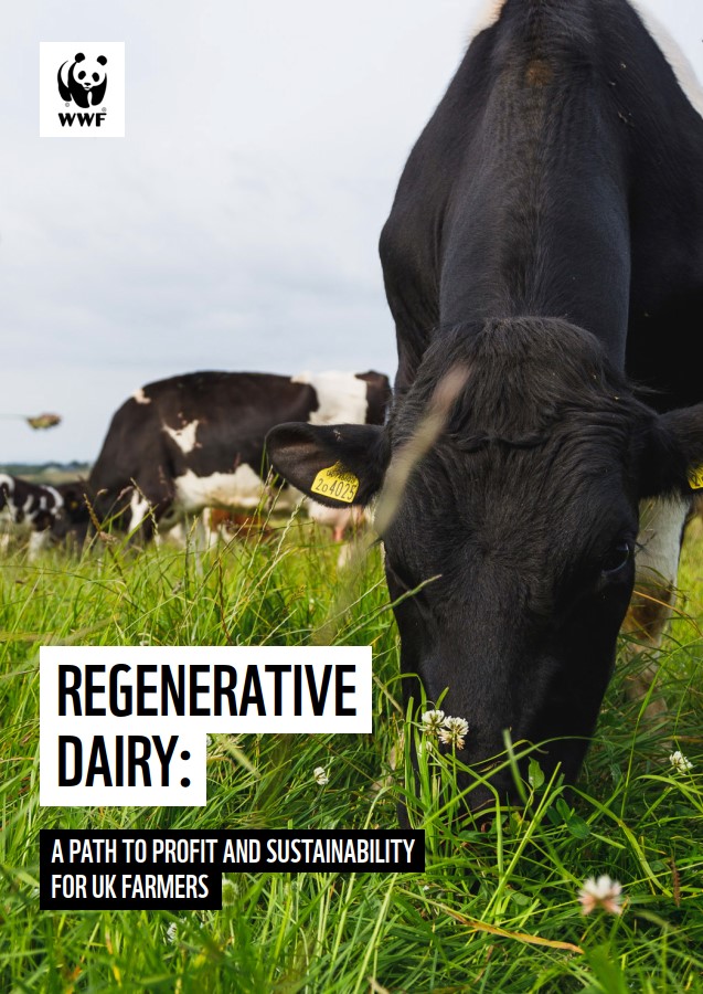Cover image for 'A path to profit and sustainability' report