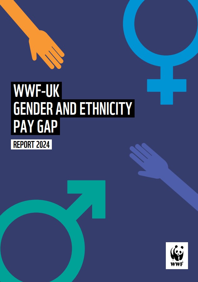 Cover image for the Gender and Ethnicity Pay Gap report 2024