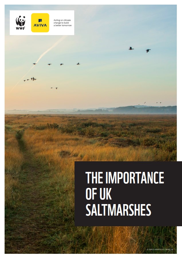 Cover image for the importance of UK saltmarshes report Cover image for the importance of UK saltmarshes report