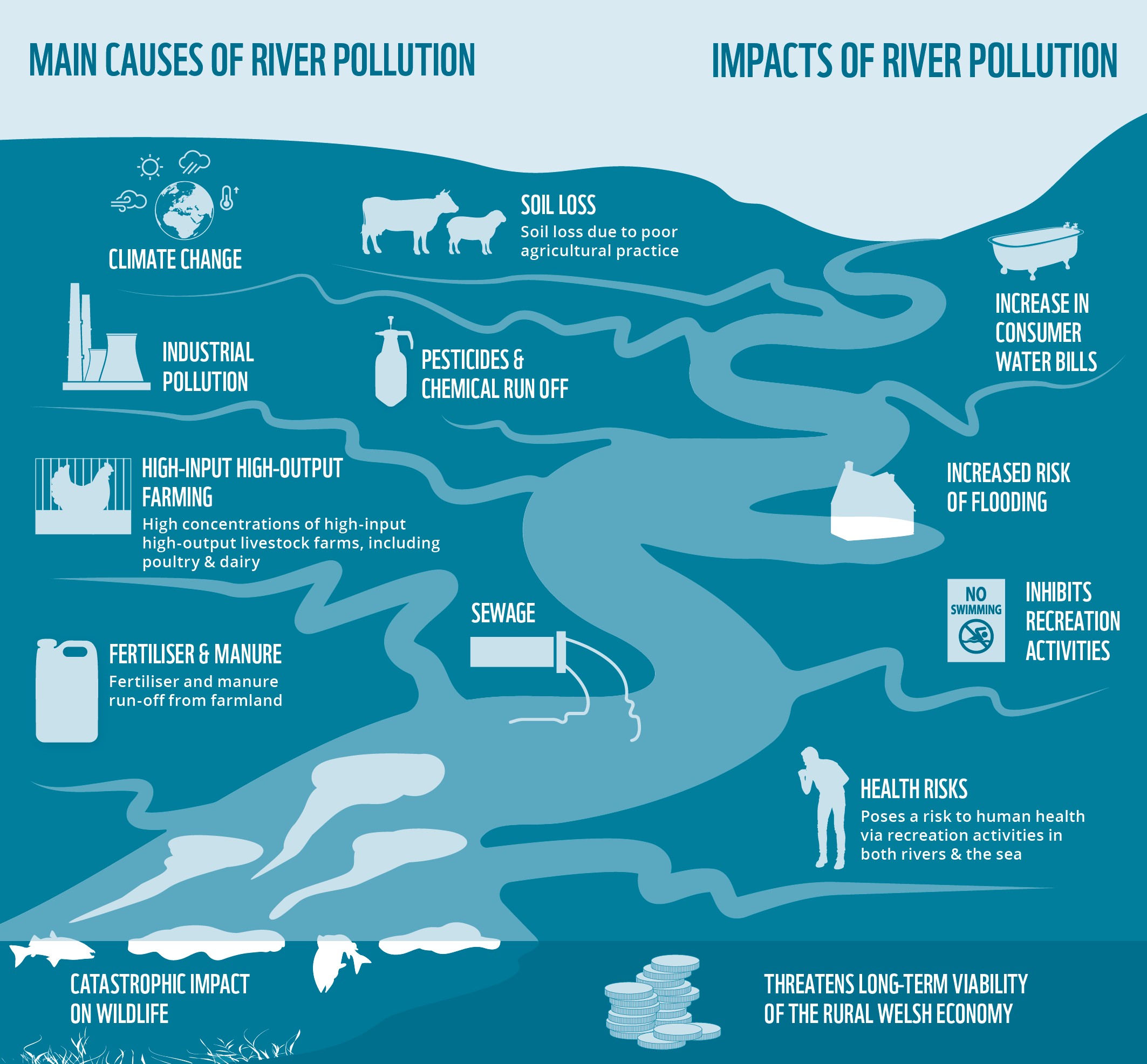 The infographic shows a river catchment and explains the main causes of river pollution and their impacts.