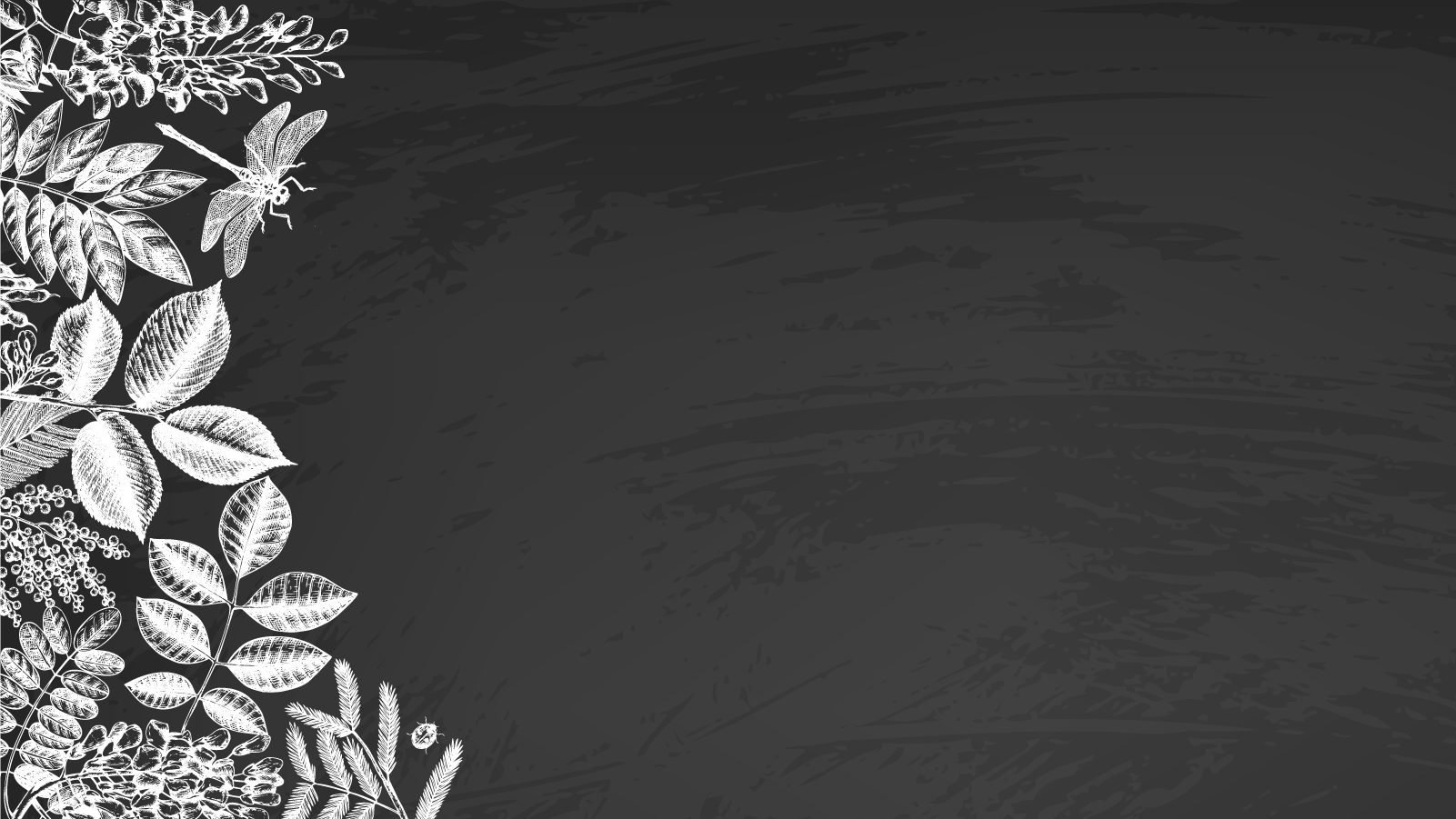 Black background with white leaves and dragonfly