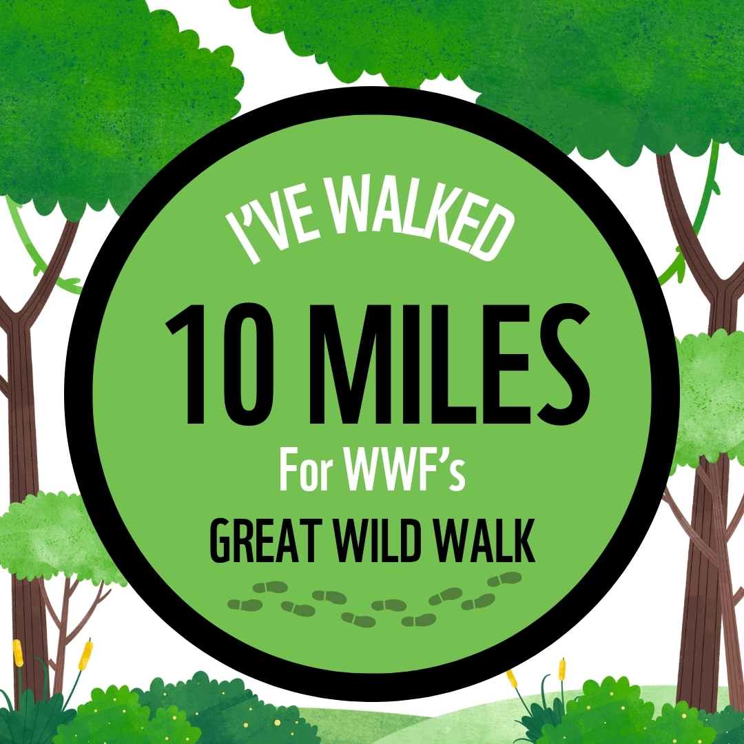 I'VE WALKED 10 MILES FOR GREAT WILD WALK
