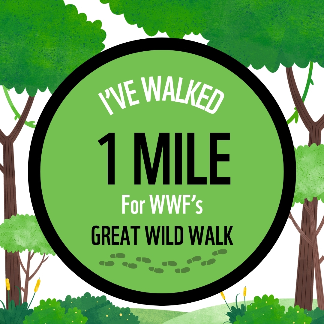 I'VE WALKED 1 MILE FOR GREAT WILD WALK