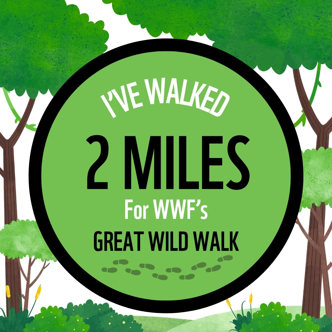 I'VE WALKED 2 MILES FOR GREAT WILD WALK