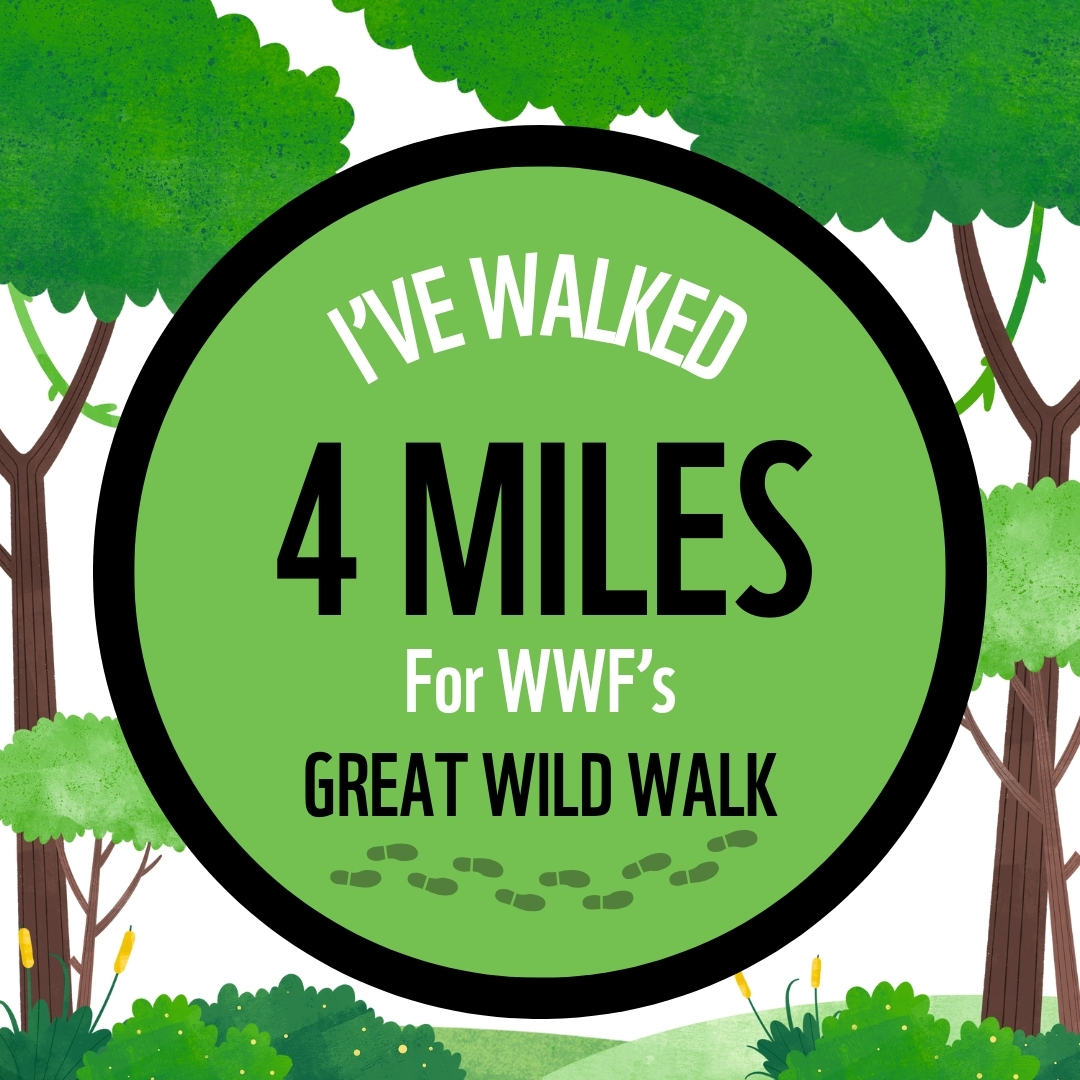 I'VE WALKED 4 MILES FOR GREAT WILD WALK