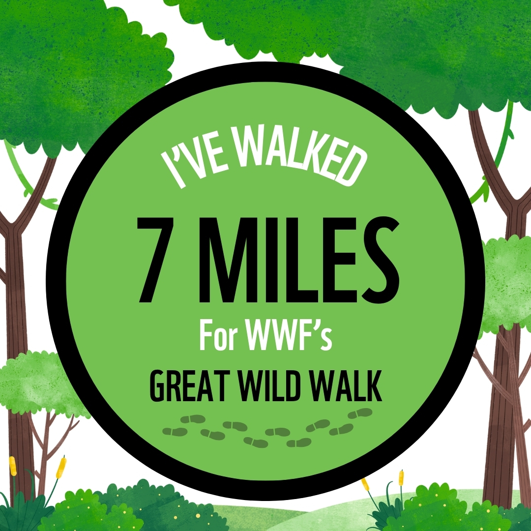 I'VE WALKED 7 MILES FOR GREAT WILD WALK