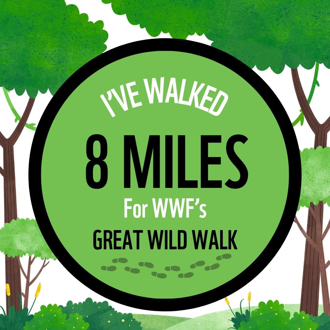 I'VE WALKED 8 MILES FOR GREAT WILD WALK