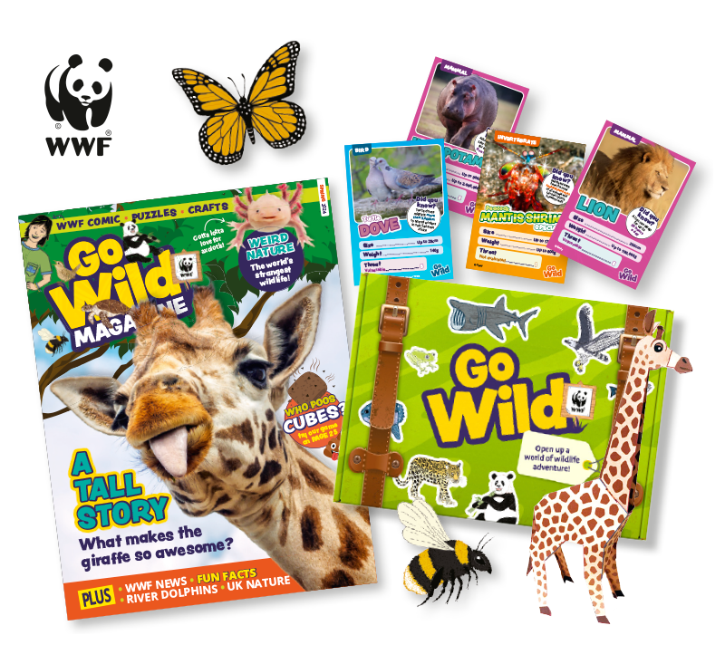 Ask an adult about GoWild through the mail.