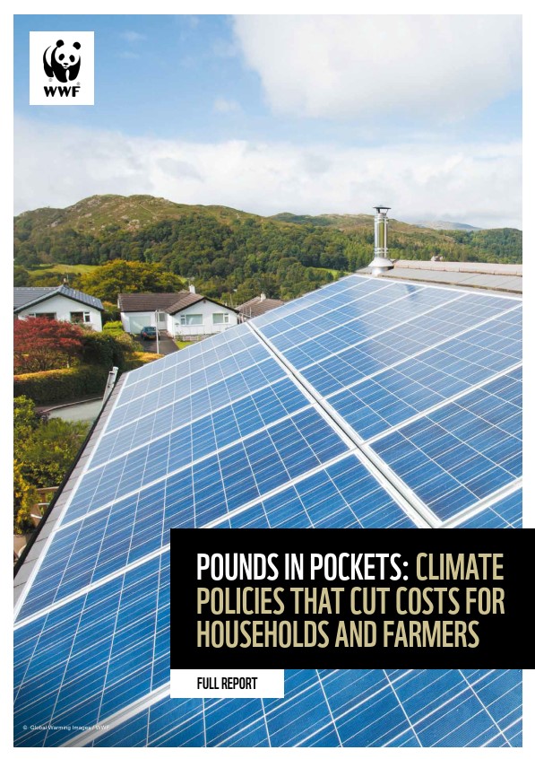Cover image of Pounds in Pockets report