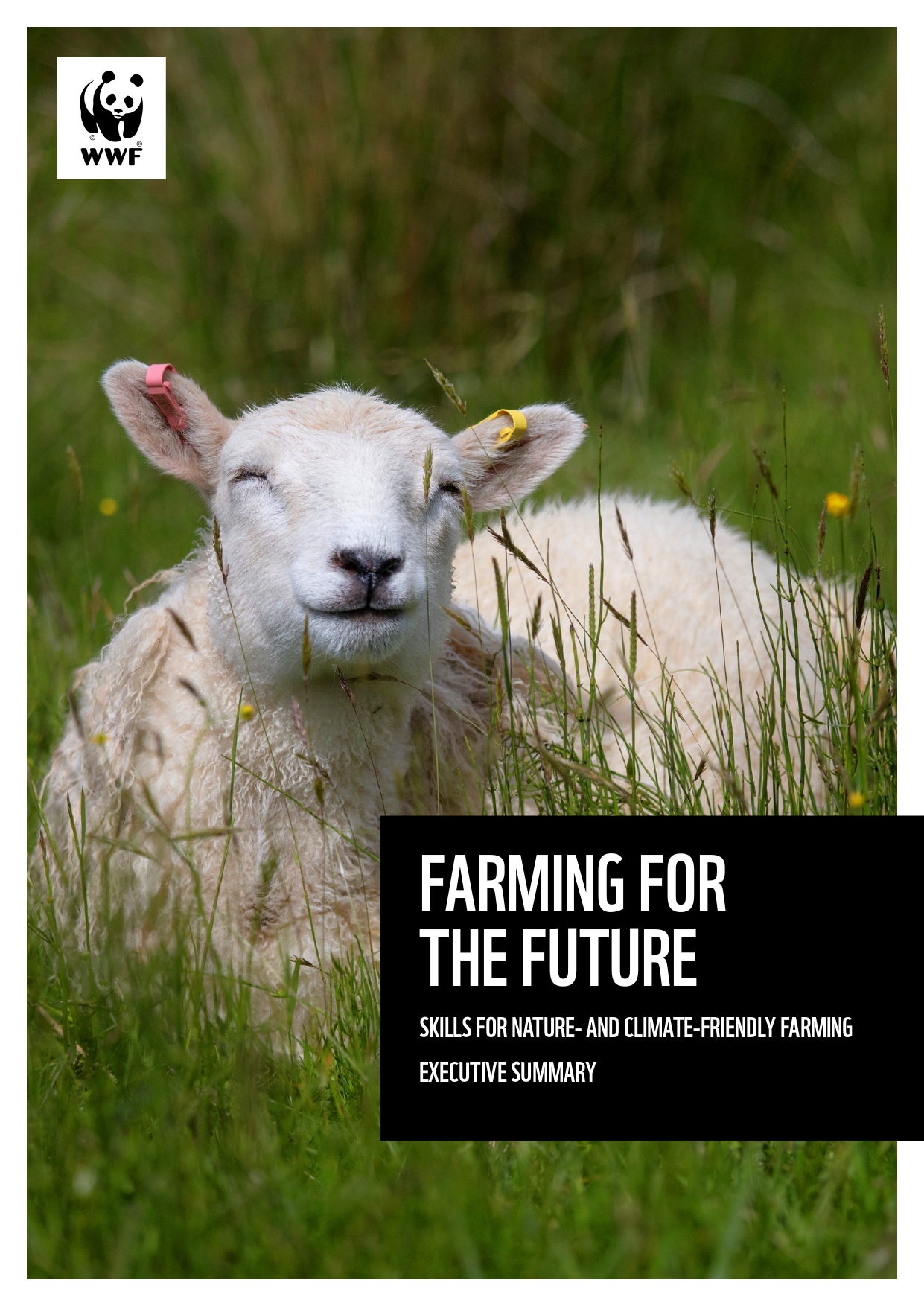 A report cover with the WWF logo and the 'Farming for the Future' title. The cover background image is a sheep on a nature friendly croft amongst long grass and wild flowers.