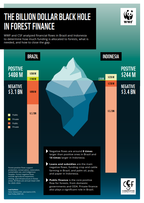 Forest finance summary front cover