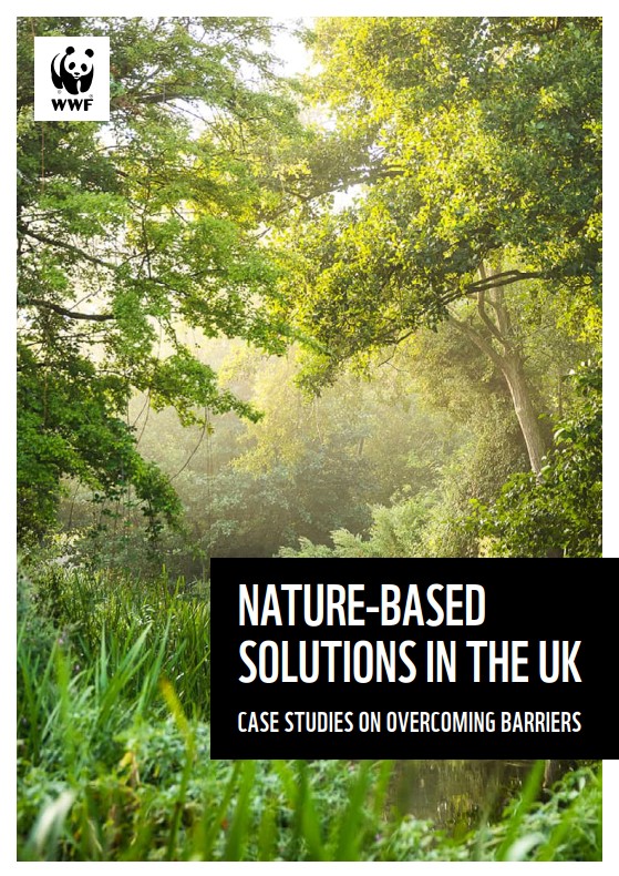 Cover image of Nature-based solutions in the UK report