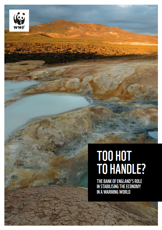 Cover image of Too Hot to Handle? Report