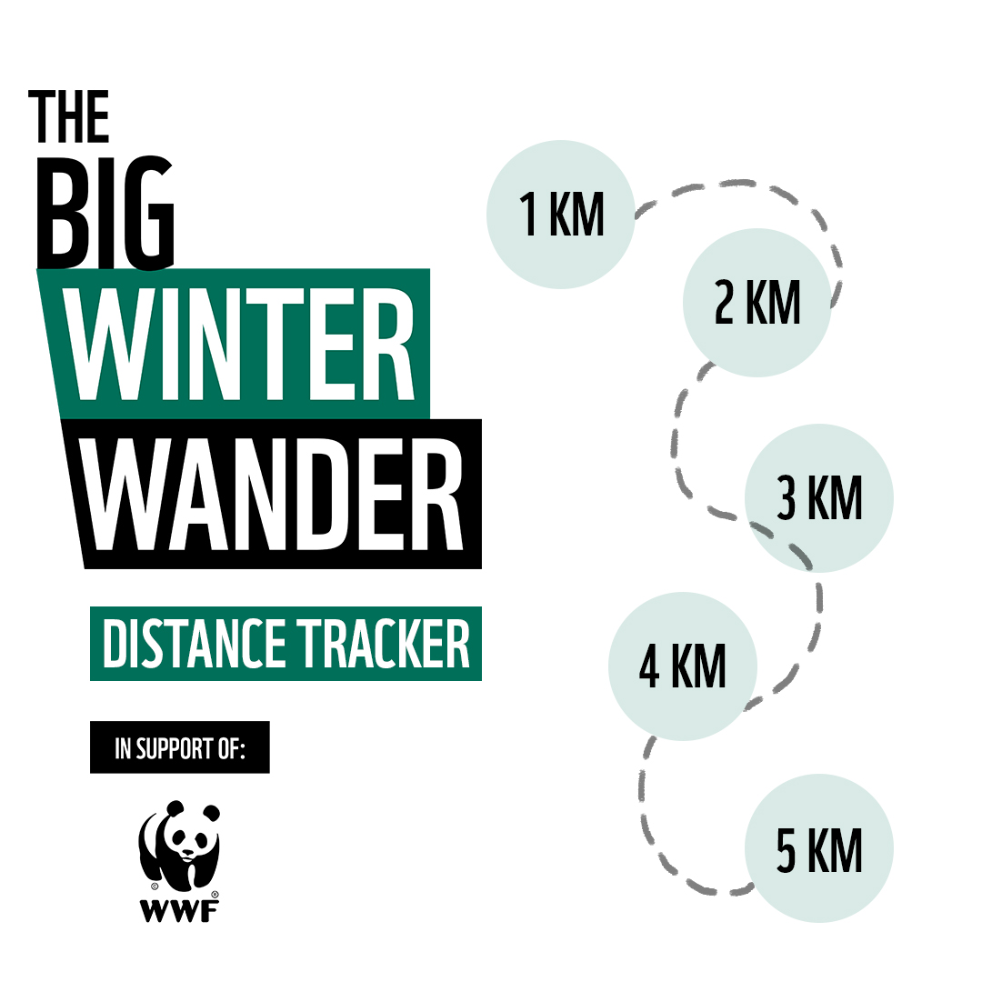 Big Winter Wander 5km tracker