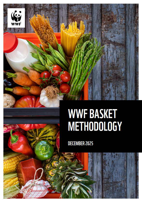 Cover image of the 'What's in store for the planet report methodology 2025'