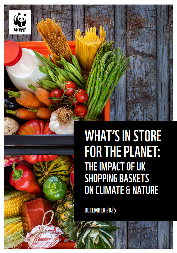 What's in store for the Planet Report 2025 thumbnail