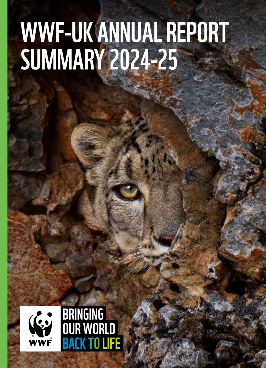 First page of the 2024-25 WWF-UK Annual Report