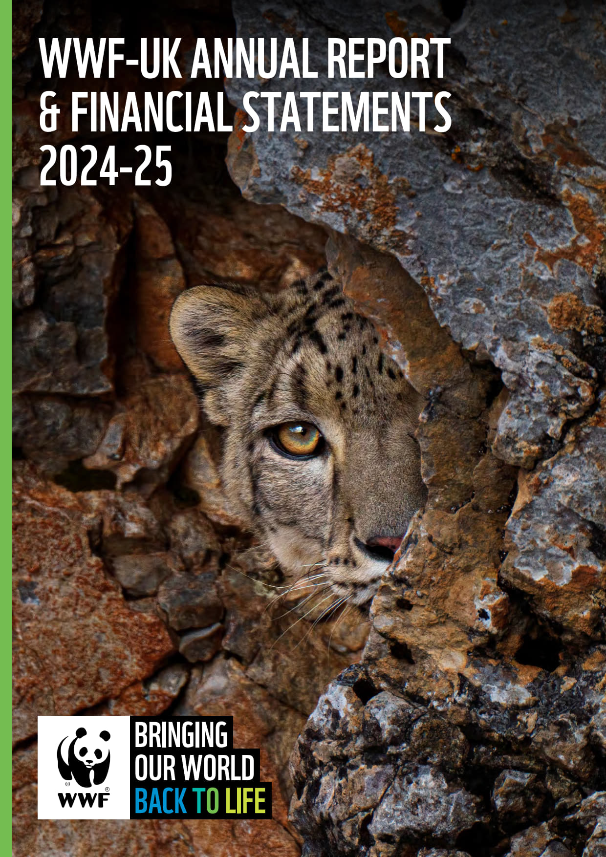 WWF-UK Annual Report and Financial Statements 2024-2025